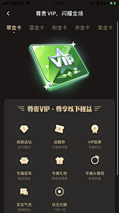 Joey-n采集到APP VIP会员中心