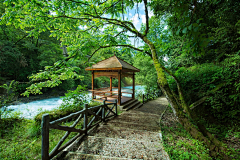 橘枳子采集到喇叭河