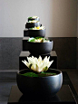 Zen arrangements ~ stunning in their simplicity: 