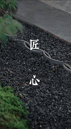 麦子-芒-穗采集到分析图