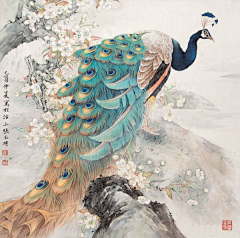 烟火繁落采集到孔雀