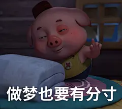探探猫表情包：此处应有一张豆豆猪的自拍，但……05