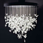Amazing butterfly chandelier