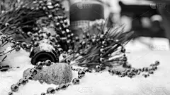 雪,香槟,节日,圣诞装饰,葡萄酒,贺卡,新的,水平画幅,圣诞树