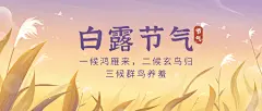 白露节气祝福芦苇手绘公众号首图