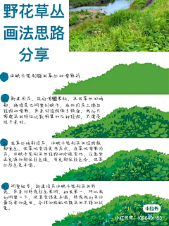 丶NEW采集到植被