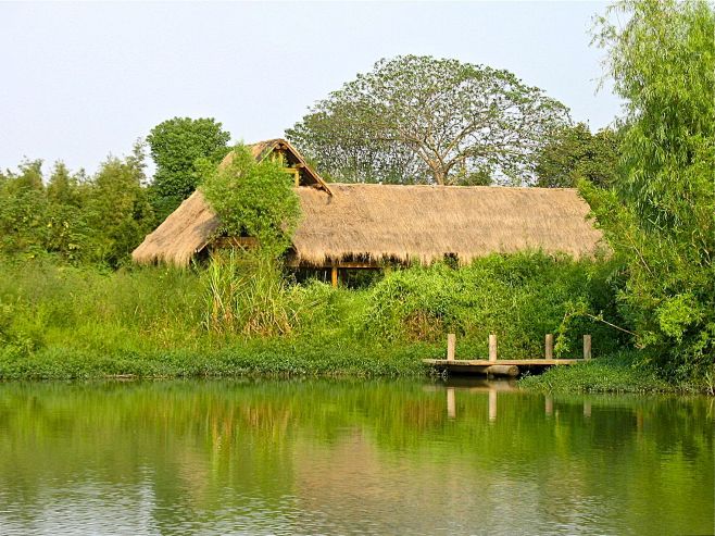 西溪湿地