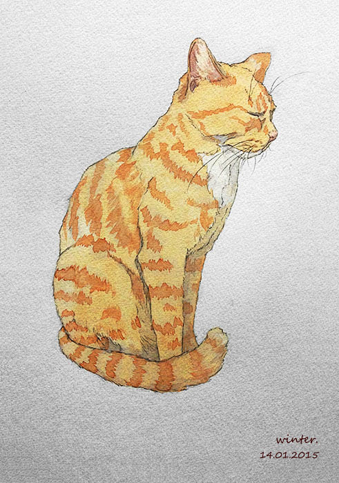 禅，#水彩#，#猫咪#，#插画#，#手绘...