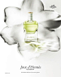 Hermès Jour d'Hermès Gardénia Fragrance SS15 Photography Benjamin Lennox