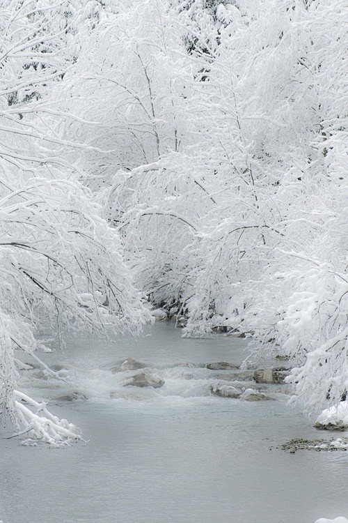 冬季。 有什么理由不喜欢呢？ 滑雪，雪，...