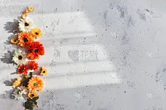 灰色的混凝土平面背景与五颜六色的秋天的花头
