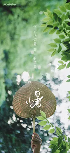 小暑节气海报-设计素材-shejisc.cn