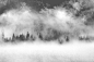 6种高清雾气景色PS笔刷2.jpg