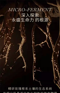大霞子采集到黑金