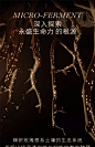 【新年礼物】兰蔻全新黑金面霜 紧致淡纹抗老化滋润保湿NAD+面霜-tmall.com天猫