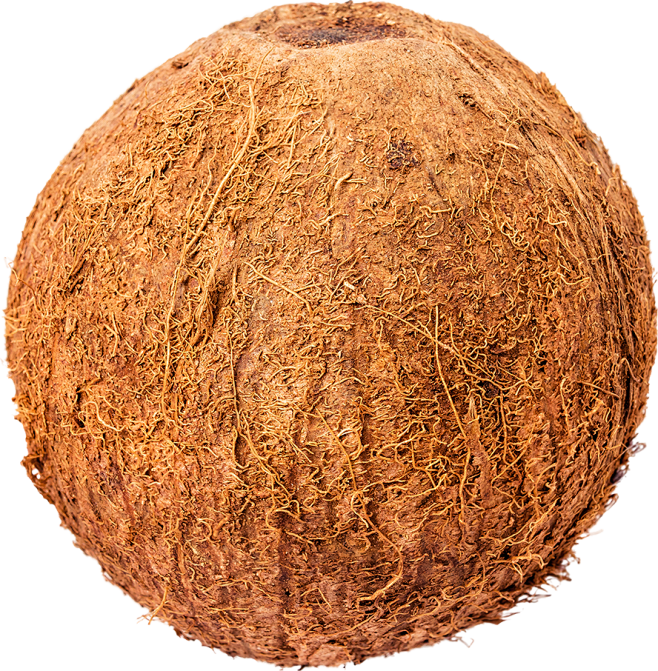 02_Coconut
