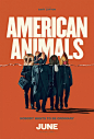 美国动物 海报