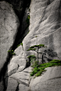 frigxd:

Huangshan (by Arthur K.H. Ng)
