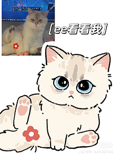 秝害采集到宠物模版