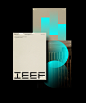 IEEF / Institute of Economic and Financial Expertise