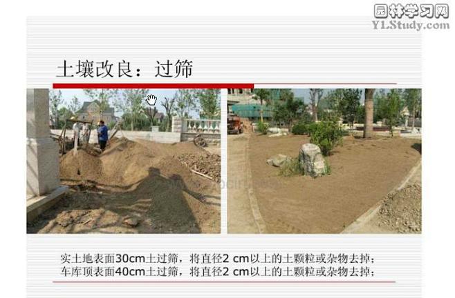 景观效果软景