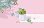 seven H on Behance