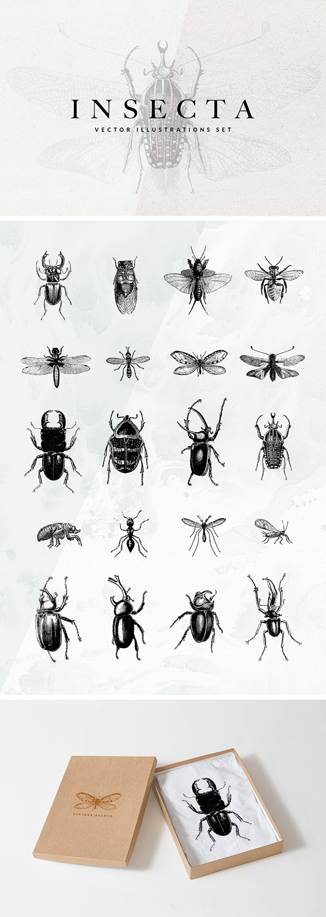 20个昆虫矢量插图集 资源-第1张