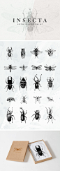20个昆虫矢量插图集 资源-第1张