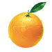 橙子PNG