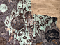 本生故事画 克孜尔石窟第114窟 
约公元4世纪 凯迪旦·多鲁孔临摹 2016年