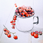 欧美插画ElenaMoroz水彩花卉植物蔬菜 食物手绘设计临摹素材173张-淘宝网