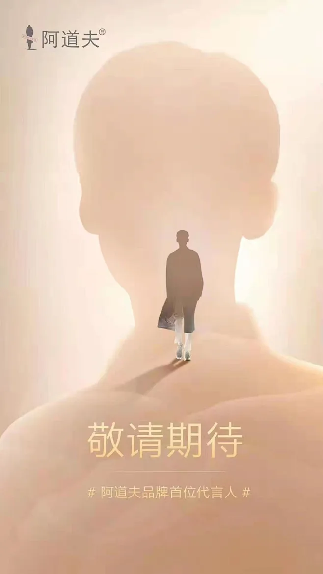 图片_rw-悬念海报/预热/平面版式图片素材-花瓣网