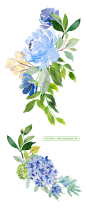 [美工云]春季水彩手绘鲜花花卉绿叶矢量元素免抠PNG下载：Spring-Vectored-watercolor-flowers