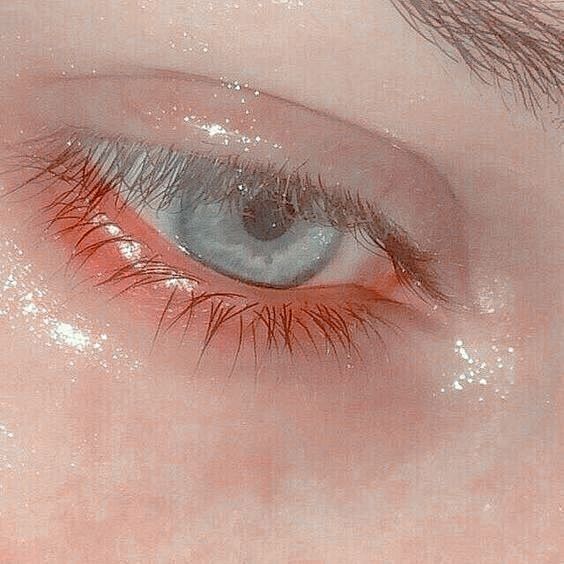 @岁礼一_ 的个人主页 - 微博