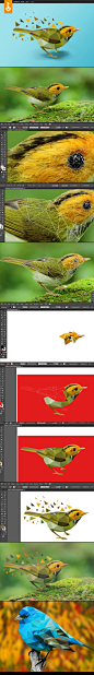 如何将一只小鸟做成几何造型/  网络搜索“多边形图像制作工具”