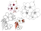 各式花卉花朵叶子线稿上色稿手稿集║图片来源公众号—旭旭素材║樱花细部线稿素材