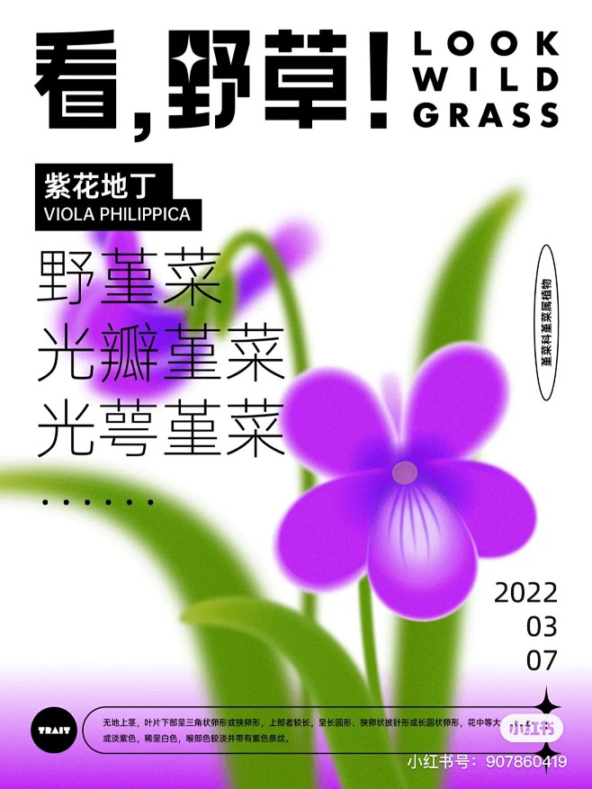海报 排版 版式 字体 图案 植物 @智...
