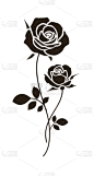 玫瑰,叶子,装饰品,华丽的,线条,背景分离,浪漫,简单,春天,装饰物