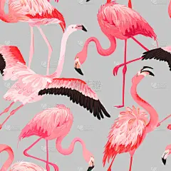 夏天,鸡尾酒,式样,火烈鸟,华丽的,纺织品,野生动物,壁纸,自然美,动物