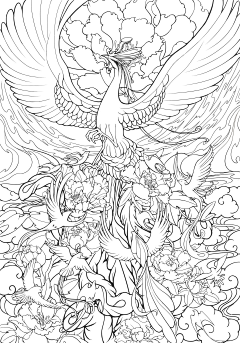灵梦幽蝶采集到作业材料