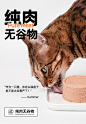 阿飞和巴弟全价主食ican猫罐头主餐罐头170g*4无谷猫粮成猫幼猫-tmall.com天猫