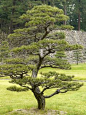 Matsue