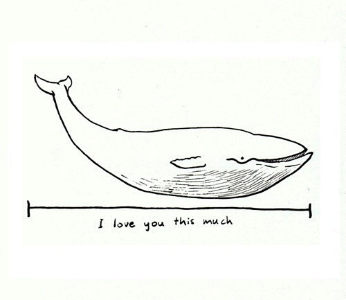 狛泫。的相册-Whales