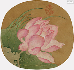 用户t0GCXivn采集到宋代画
