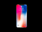 iPhone X Front View Mockup #089 :  