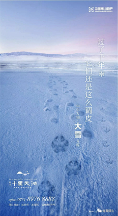 Kakaoo采集到小寒