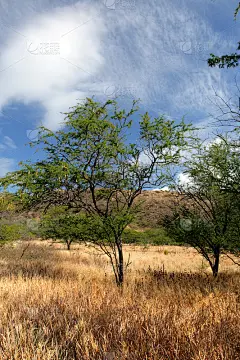 夏威夷火奴鲁鲁的钻石头
