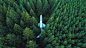 General 1920x1080 nature landscape trees forest wreck aerial view airplane pine trees aircraft