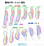 手臂肌肉画法教程，手臂画法就是这么简单！