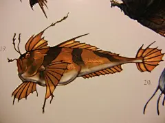 【变形·资料】野兽战争（Beast War）·骷髅岛生物档案_真人世吧_蓬毛贪食鱼（Estrichthys Hirsutus），是一种以淡棕为底色、从脊背至肋两侧纵向排列着深棕色条纹的骷髅岛常见鱼类。独特的树叶状鱼鳍和看似烂树枝的触须，让蓬毛贪食鱼能利用水底的各种植丛伪装、掩盖自己的行踪不被敌人发现之同时，还能埋头大吃海藻、鲜嫩水草及各种浮游生物。